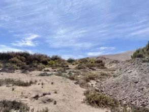 An oasis in the Atacama Desert - bravo-001